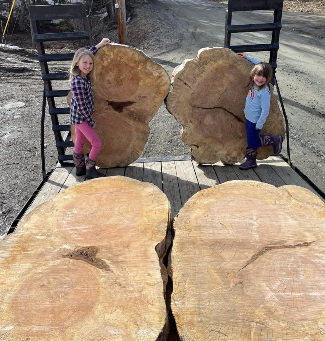Large round slab cross-sections stacked outdoors