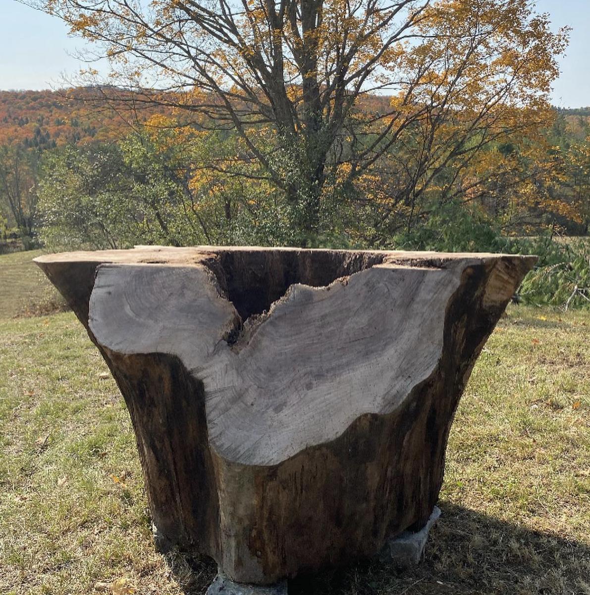 Hollow log section outdoors with fall foliage behind