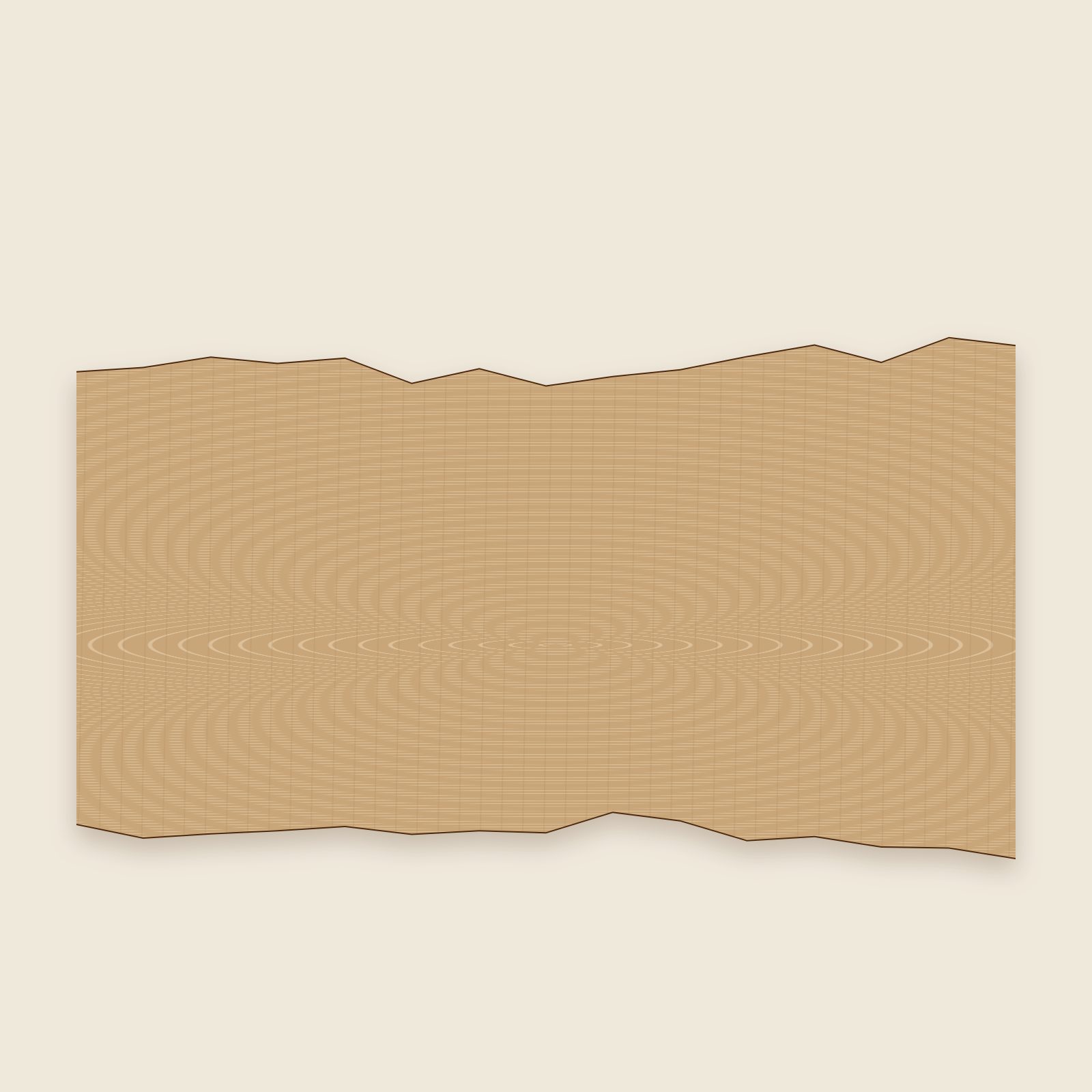 Live edge white oak slab TL-1003, 120″ L × 28/26/30″ W × 2.5″ T