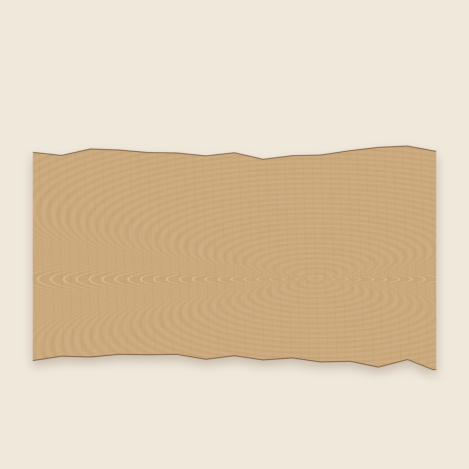 Live edge white oak slab TL-1010, 78″ L × 19/18/20″ W × 2″ T